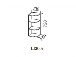 Ш300т/720 Шкаф навесной 300/720 (торцевой) в Сатке - satka.магазин96.com | фото