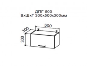 Шкаф верхний ДПГ500 горизонтальный в Сатке - satka.магазин96.com | фото