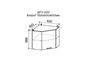 Шкаф верхний ДПУ600 угловой в Сатке - satka.магазин96.com | фото